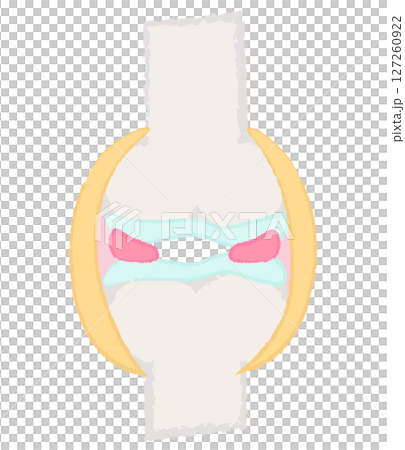 手描きの関節・骨のイラスト 手描きの関節・骨のイラスト 127260922