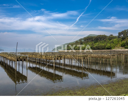 牡蠣の抑制棚 127261045