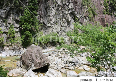 初夏の面河渓 初夏の面河渓 127261048