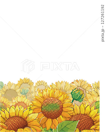 ひまわり 127261192