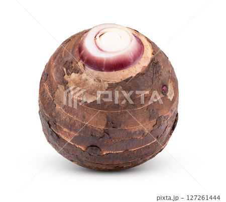 taro isolated on white background taro isolated on white background 127261444