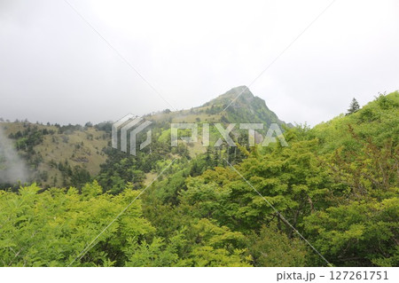 石鎚山系　瓶ヶ森 127261751