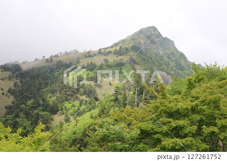 石鎚山系 瓶ヶ森 石鎚山系 瓶ヶ森 127261752