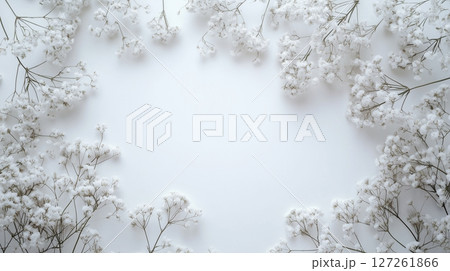 Baby breath flower frame rounded empty center nature background 127261866