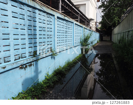 A narrow alleyway is reflected in puddle, showing vibrant blue brick fence with overgrown plants, evoking sense of hidden urban life A narrow alleyway is reflected in puddle, showing vibrant blue brick fence with overgrown plants, evoking sense of hidden urban life 127261883