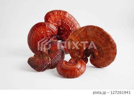 Lingzhi or Reishi mushroom with capsules, organic natural healthy food. 127261941