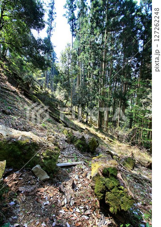 牛若丸も兵法修行をしたと伝えられる… 鞍馬山・鞍馬寺 127262248