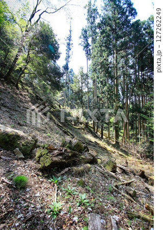 牛若丸も兵法修行をしたと伝えられる… 鞍馬山・鞍馬寺 牛若丸も兵法修行をしたと伝えられる… 鞍馬山・鞍馬寺 127262249
