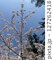 青空に映える満開の桜 127262418