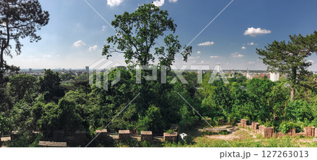 A lush green forest with a view of a city in the distance 127263013