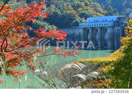 秋のダム 127263016