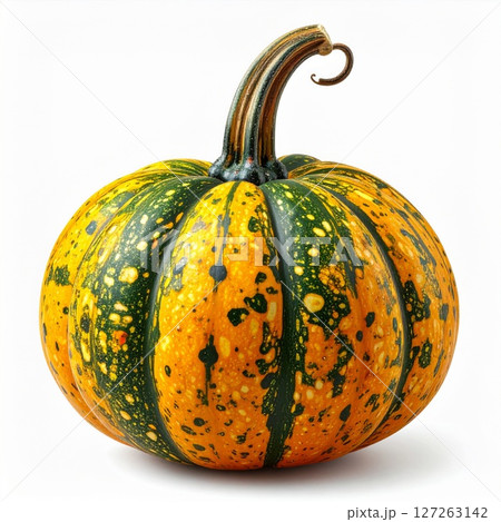 Small Speckled Yellow And Green Pumpkin On White Background 127263142