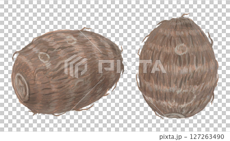 芋頭的插圖 127263490