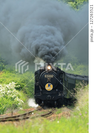 SLやまぐち号 D51 1101 SLやまぐち号 D51 1101 127263521