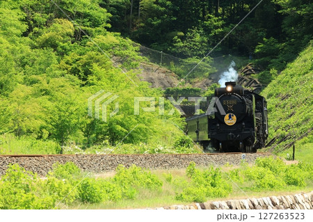 SLやまぐち号 D51 1300 SLやまぐち号 D51 1300 127263523