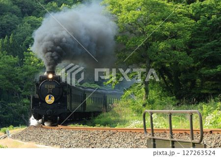 SLやまぐち号 D51 1381 SLやまぐち号 D51 1381 127263524