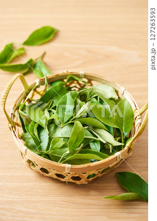 摘み取った生の茶葉 127263593