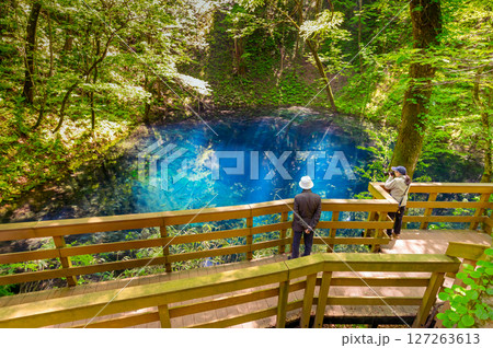 【青森県深浦町-青池】十二湖の森セラピーロードの人気スポット青池は十二湖最大の見所 【青森県深浦町-青池】十二湖の森セラピーロードの人気スポット青池は十二湖最大の見所 127263613