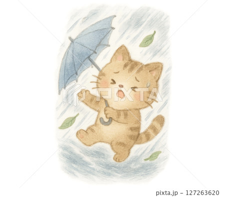 台風の日に強風で飛ばされそうで苦戦する猫 127263620