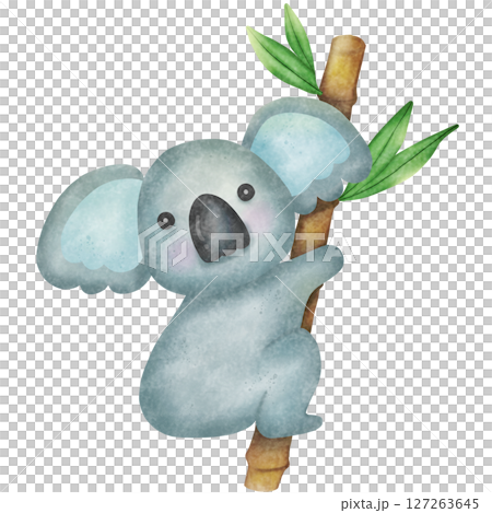 Koala and bamboo art, baby koala perched on tree branch in nature, charming wildlife closeup 127263645