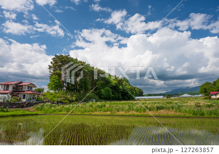諏訪の田舎風景 信州の初夏 原風景 諏訪の田舎風景 信州の初夏 原風景 127263857