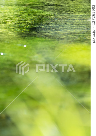 水面に映る新緑・清流・エコイメージ（大山　地蔵滝の泉） 127263902