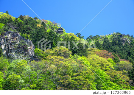 春の山寺 127263966