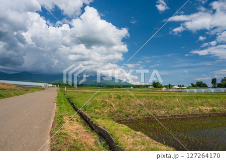 富士見町の農村風景　初夏の信州 127264170
