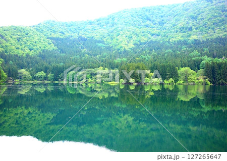 神秘的な姿を見せた湖面 神秘的な姿を見せた湖面 127265647