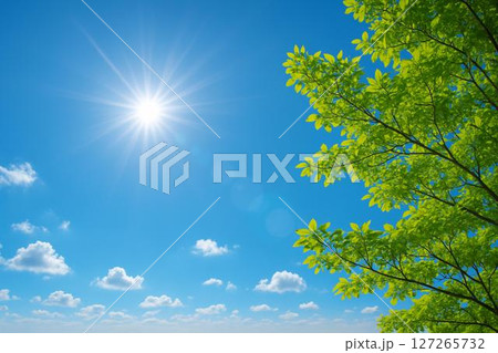 晴天　青空　若葉　イメージ 127265732