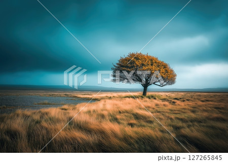 Dramatic Landscape of a Lone Tree Against a Stormy Sky in a Golden Field 127265845