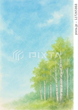 夏・白樺の林 127265868