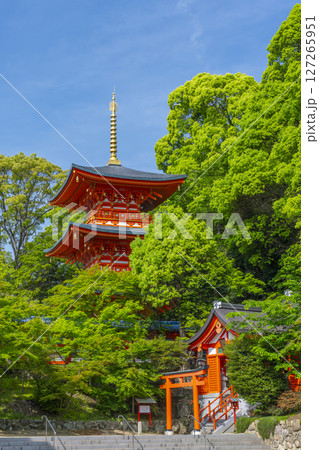 須磨寺　三重塔と出世稲荷 127265951