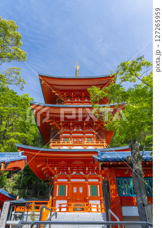 須磨寺　青空に映える三重塔 127265959
