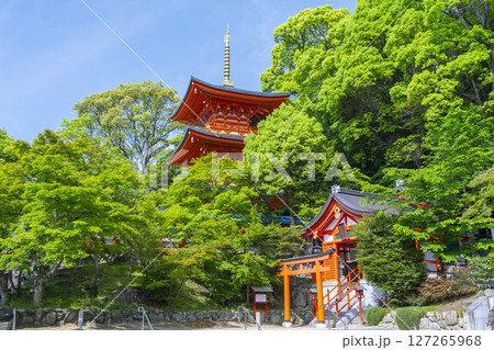 須磨寺　三重塔と出世稲荷 127265968