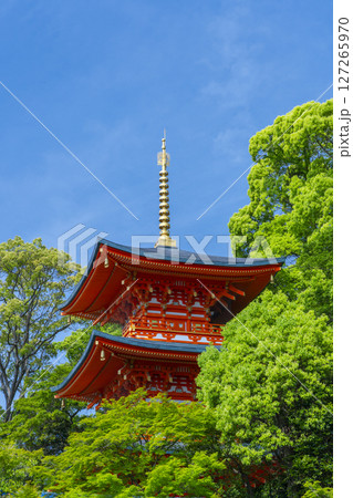 須磨寺　新緑に包まれた三重塔 127265970