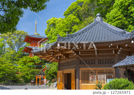 須磨寺　新緑に包まれた三重塔と八角堂 127265971