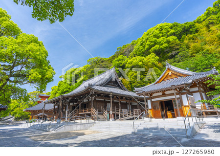 須磨寺　本堂・護摩堂 127265980