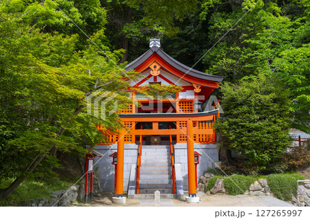 須磨寺 出世稲荷 須磨寺 出世稲荷 127265997