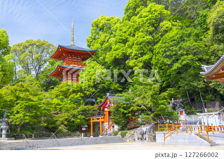須磨寺　三重塔と出世稲荷 127266002