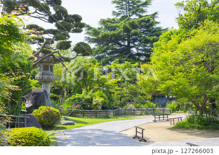 須磨寺 本坊・書院前の庭園 須磨寺 本坊・書院前の庭園 127266003