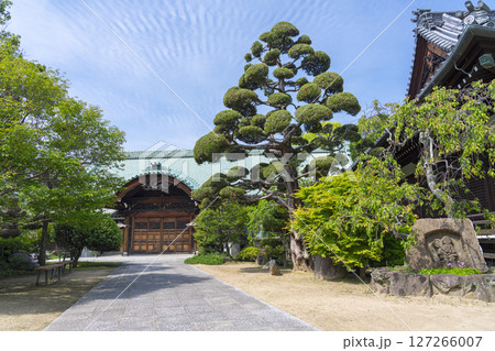 須磨寺　本坊　圧巻の宮彫りが施された正面玄関 127266007