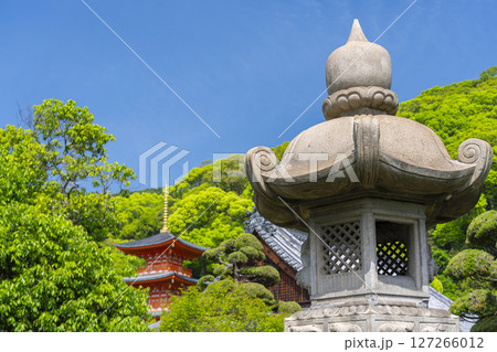 須磨寺　本坊・書院前の庭園　石燈籠と三重塔 127266012