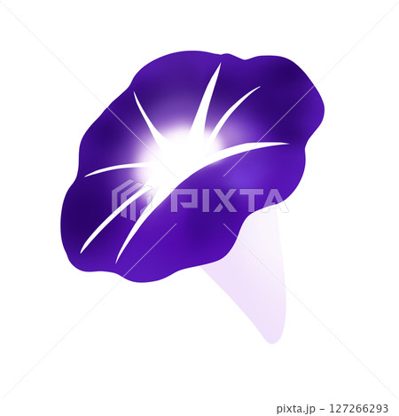 斜めから見た紫色の朝顔の花のイラスト 127266293