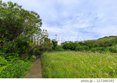梅雨の城ヶ島 127266393