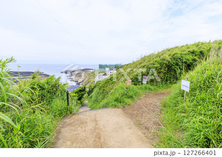梅雨の城ヶ島 梅雨の城ヶ島 127266401