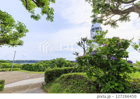 梅雨の城ヶ島 127266450