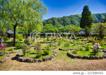 牡丹の花がきれいな万葉の里　味真野苑 127266581