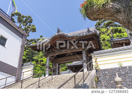 須磨寺 新緑に包まれた唐門 須磨寺 新緑に包まれた唐門 127266881
