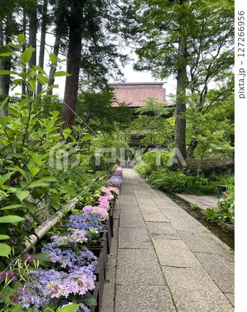 川場 吉祥寺 川場 吉祥寺 127266956